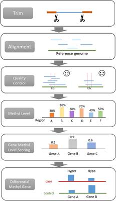 Evaluating the Consistency of Gene Methylation in Liver Cancer Using Bisulfite Sequencing Data